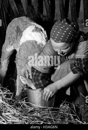 BDM-Mädchen arbeiten in der Halle, 1940 Stockfoto