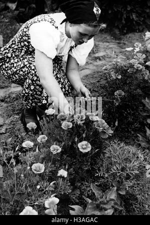 Sommercamp der BDM-Werk Glaube Und Schoenheit (BDM-Arbeit, glaube und Schönheit Gesellschaft) am Ruppiner See, 1939 Stockfoto