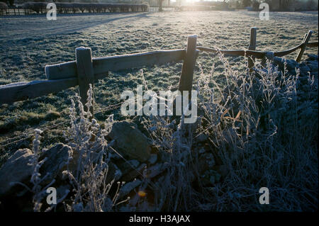 Die Sonne geht an einem hellen und frostigen Morgen über eine traditionelle englische Conytryside-Szene. Eine alte Trockenmauer, Holzzaun und Draht fallen in eine harte Frost, Eis Kristalle funkeln in den Strahlen der Sonne in dieser Winterszene. Stockfoto