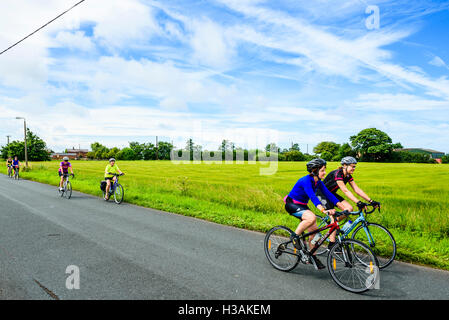 Gruppe von weiblichen Radfahrer auf der Lane in der Nähe von Shirdley Hill in West Lancashire England UK Stockfoto