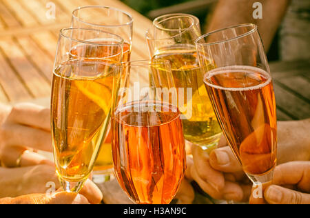 Gruppe von Freunden Toasten mit Champagner mit Schnaps im Garten Stockfoto