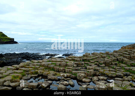 Der Giant's Causeway ist ein Bereich der Verriegelung Basaltsäulen, aus einer alten vulkanischen eruption Stockfoto