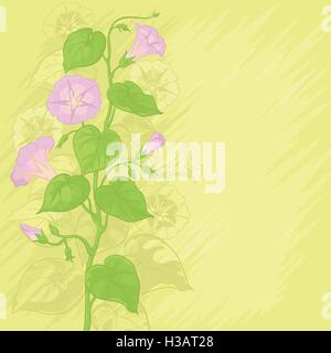 Hintergrund mit Blumen Ipomoea Stock Vektor