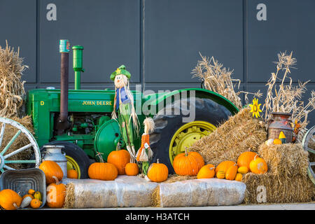 Canadian Tire Geschäft fallen Display in Winkler, Manitoba, Kanada. Stockfoto