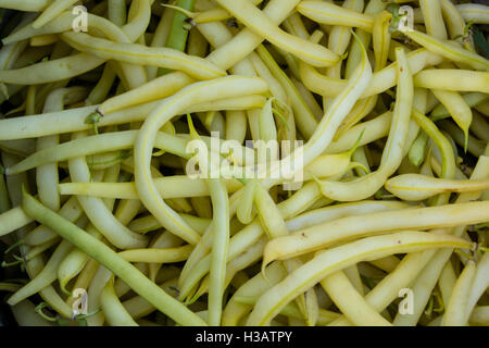 Nahaufnahme Foto einige gelbe Bohne Stockfoto
