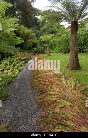 Die subtropischen Trebah Garten in Cornwall zu Beginn des Herbstes. Stockfoto