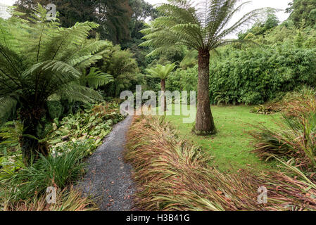 Die subtropischen Trebah Garten in Cornwall zu Beginn des Herbstes. Stockfoto