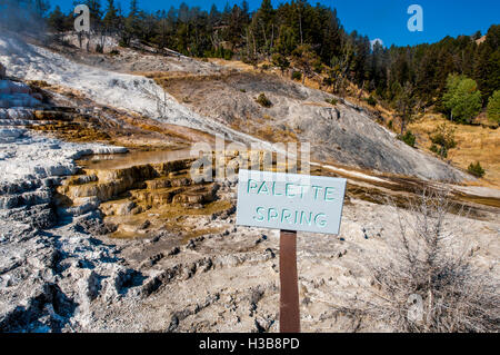 Palette Spring Mammoth Hot Springs Terrassen Yellowstone-Nationalpark, Wyoming, USA. Stockfoto