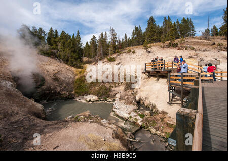 Besucher des Drachen Mund Frühling, Mud Volcano Bereich Yellowstone-Nationalpark, Wyoming, USA. Stockfoto