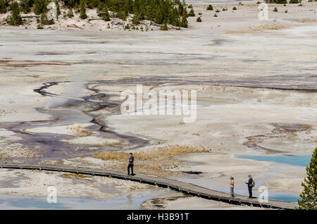 Besucher am Boardwalk erkunden dampfende Schlote heiße Pools Quellen Norris Geyser Basin, Yellowstone-Nationalpark, Wyoming, USA. Stockfoto