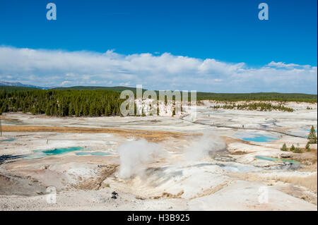 Besucher am Boardwalk erkunden dampfende Schlote heiße Pools Quellen Norris Geyser Basin, Yellowstone-Nationalpark, Wyoming, USA. Stockfoto