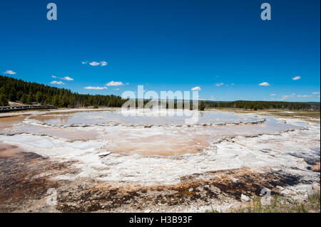 Großer Brunnen Geysir ausbrechen im Bereich Firehole Lake Lower Geyser Basin Yellowstone-Nationalpark, Wyoming, USA. Stockfoto