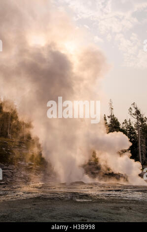 Grand Geysir im Upper Geyser Basin Yellowstone-Nationalpark, Wyoming, USA. Stockfoto