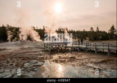 Riesiger Geysir im Upper Geyser Basin Yellowstone-Nationalpark, Wyoming, USA. Stockfoto