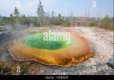 Morning Glory Pool in Upper Geyser Basin Yellowstone National Park, Wyoming, USA. Stockfoto