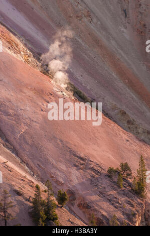 Geysir in der Grand Canyon von Yellowstone, Yellowstone-Nationalpark, Wyoming, USA. Stockfoto