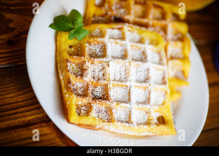 süßer Kürbis Waffeln auf dem Teller Stockfoto