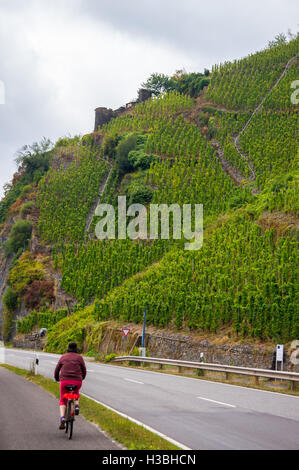 Enkircher Batterieberg Weingut, gesehen von der Straße, Enkirch, Mosel River, Rheinland-Pfalz, Deutschland Stockfoto