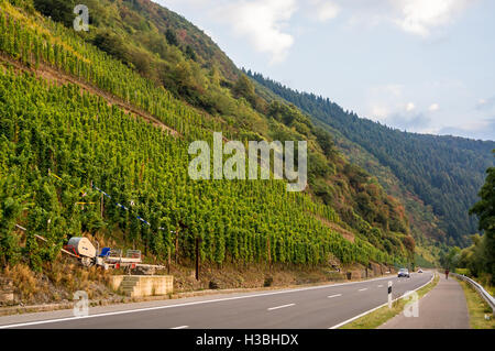Einschienenbahn Sessellift, Enkircher Batterieberg Weingut, gesehen von der Straße, Enkirch, Mosel River, Rheinland-Pfalz, Deutschland Stockfoto