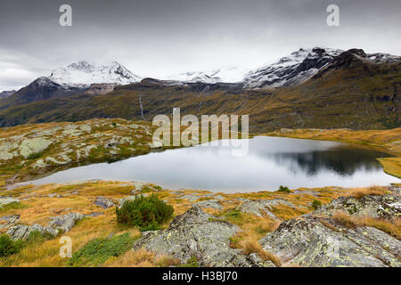 Parc National de la Vanoise. Almwiese und See. Schneebedeckte Berggipfel Lac Blanc. Frankreich. Europa. Stockfoto