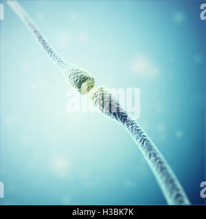 Synapse und Neuron Zellen elektrische chemische Signale zu senden. 3D-Rendering Stockfoto