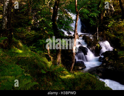 Langzeitbelichtung Foto eines Wasserfalls auf Cadair Idris Bergkette in Snowdonia-Nationalpark in Wales, UK Stockfoto