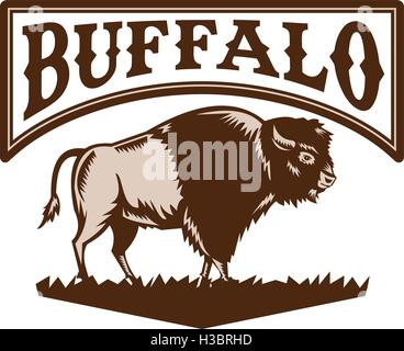 Abbildung eines amerikanischen Bison oder Büffel gesehen von der Seite am isolierten weißen Hintergrund mit dem Wort Text Buffalo in Retro-Holzschnitt Stil getan. Stock Vektor