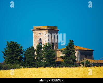 Glockenturm einer Kirche steht in der Mitte eine blonde Reife Weizenfeld Stockfoto