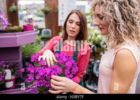 Floristen und Frau Blumen betrachten Stockfoto