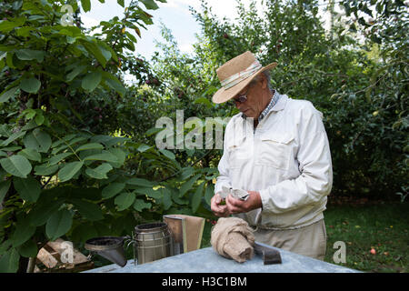 Imker Imkerei Gartenarbeit Stockfoto