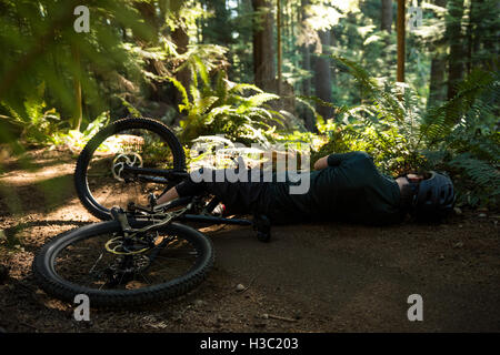 Männliche Radfahrer verletzt beim fallen vom Mountainbike Stockfoto