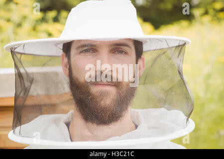 Imker, die im Bereich Stockfoto