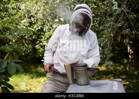 Imker die Bienen vom Bienenstock zu rauchen Stockfoto