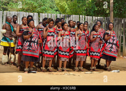 Swazi traditionelle Truppe singen und tanzen im Mantenga Swazi Kulturdorf (Ligugu Lemaswati) Ezulwini Valley, Eswatini (früher Swasiland) Stockfoto