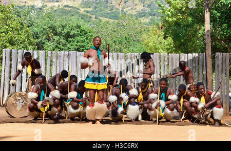 Swazi traditionelle Truppe singen und tanzen im Mantenga Swazi Kulturdorf (Ligugu Lemaswati) Ezulwini Valley, Eswatini (früher Swasiland) Stockfoto