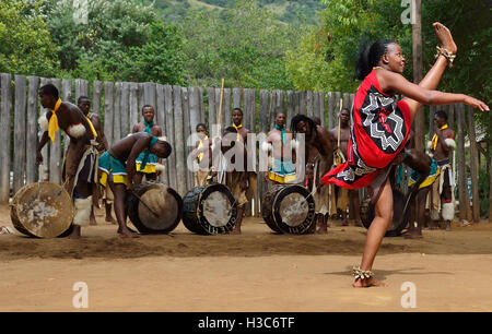 Swazi traditionelle Truppe singen und tanzen im Mantenga Swazi Kulturdorf (Ligugu Lemaswati) Ezulwini Valley, Eswatini (früher Swasiland) Stockfoto