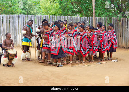 Swazi traditionelle Truppe singen und tanzen im Mantenga Swazi Kulturdorf (Ligugu Lemaswati) Ezulwini Valley, Eswatini (früher Swasiland) Stockfoto