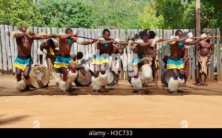 Swazi traditionelle Truppe singen und tanzen im Mantenga Swazi Kulturdorf (Ligugu Lemaswati) Ezulwini Valley, Eswatini (früher Swasiland) Stockfoto