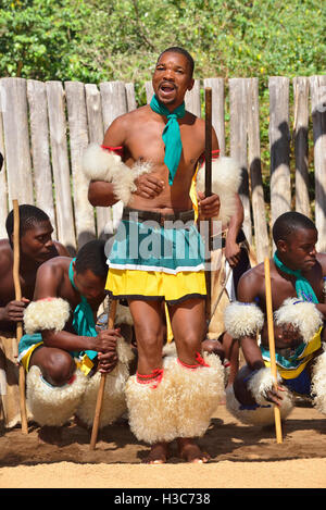 Swazi traditionelle Truppe singen und tanzen im Mantenga Swazi Kulturdorf (Ligugu Lemaswati) Ezulwini Valley, Eswatini (früher Swasiland) Stockfoto