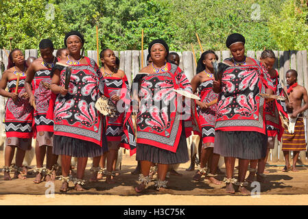 Swazi traditionelle Truppe singen und tanzen im Mantenga Swazi Kulturdorf (Ligugu Lemaswati) Ezulwini Valley, Eswatini (früher Swasiland) Stockfoto