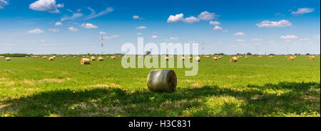 Roll-Ballen auf grüne Wiese und blauer Himmel mit einigen Wolken Stockfoto