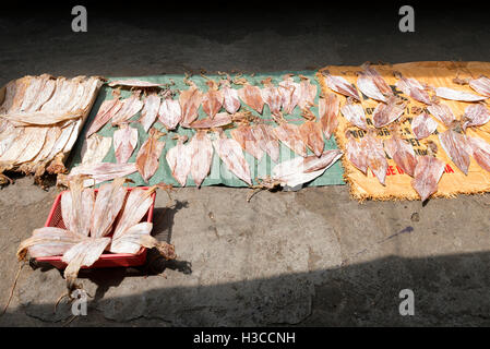 Sonnengetrockneter Tintenfisch Stockfoto