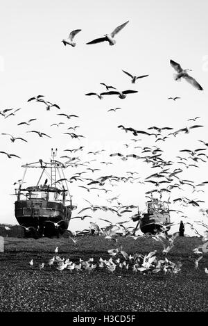 Angelboote/Fischerboote und Möwen in Hastings. East Sussex. England. UK Stockfoto