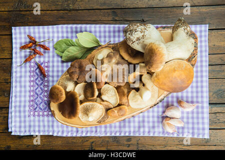 Sortiment von Pilzen und Zutaten für das Kochen auf den Tisch der Küche Stockfoto