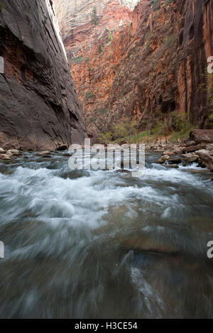 Fluss fließt durch den Zion Nationalpark, Utah, USA Stockfoto