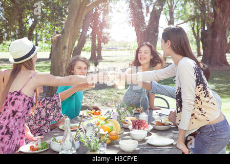 Freunde, die Gläser klirren, während der Mahlzeit im Freien im park Stockfoto