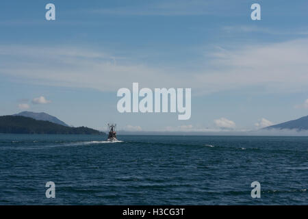 Ein Fischerboot kicks bis eine weiße Spur, als es für offenes Wasser leitet. Stockfoto