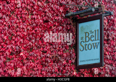 Japanische Schlingpflanze / Boston-Efeu bedeckt The Bell Stow Inn at Stow auf die würde, Gloucestershire, England Stockfoto