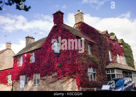 Japanische Schlingpflanze / Boston-Efeu bedeckt The Bell Stow Inn at Stow auf die würde, Gloucestershire, England Stockfoto