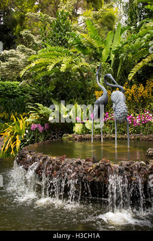 Singapur, botanischen Gärten, National Orchid Garden, Kran-Brunnen Stockfoto